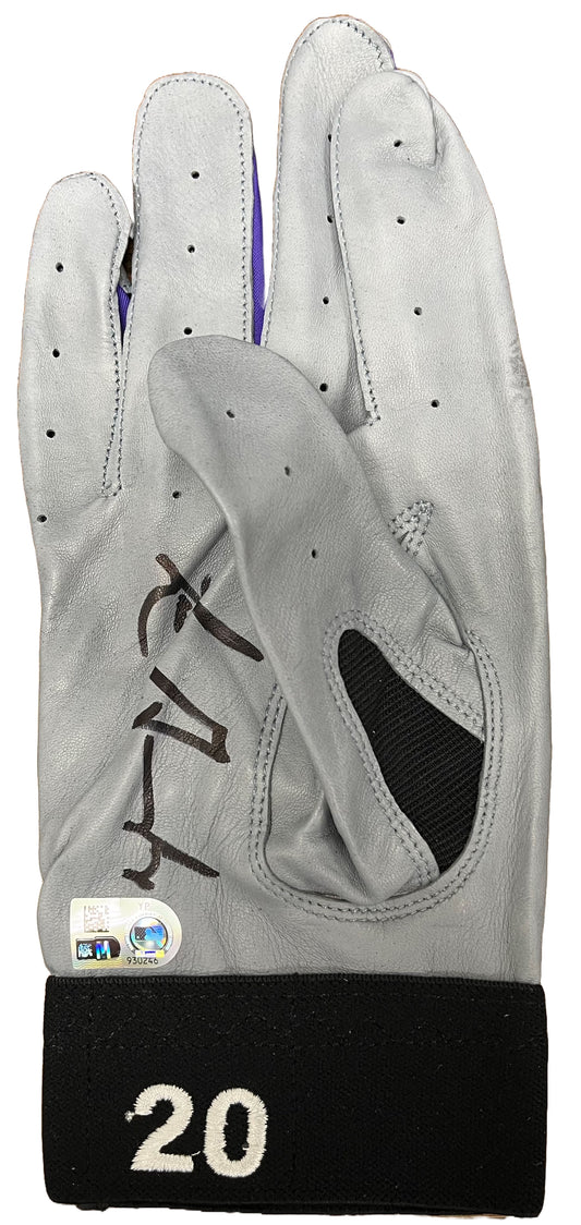 Luis Gonzalez Autographed Arizona Diamondbacks Away Batting Gloves - Player's Closet Project