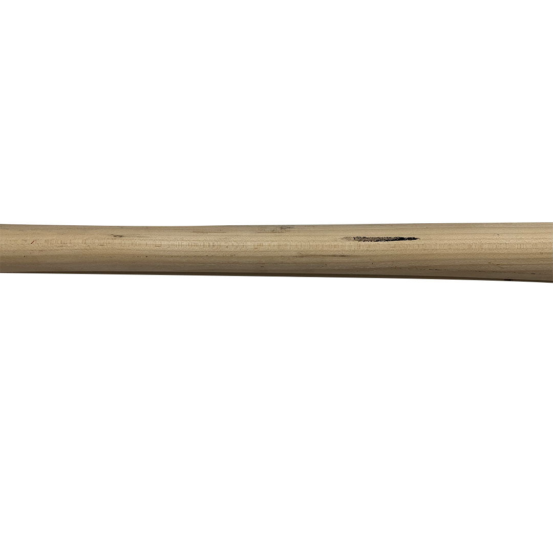 Carlos Pena Autographed Game Used Houston Astros Bat - Player's Closet Project