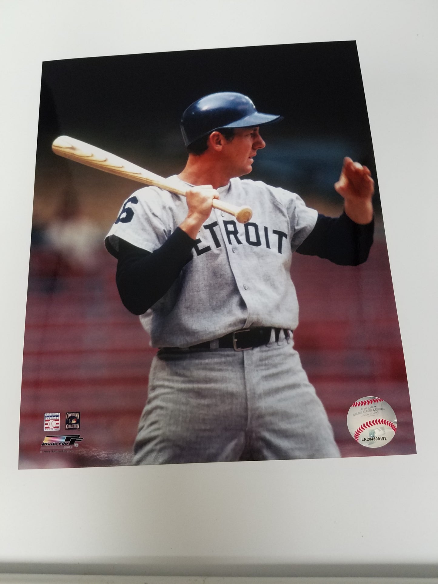 UNSIGNED Al Kaline 8x10