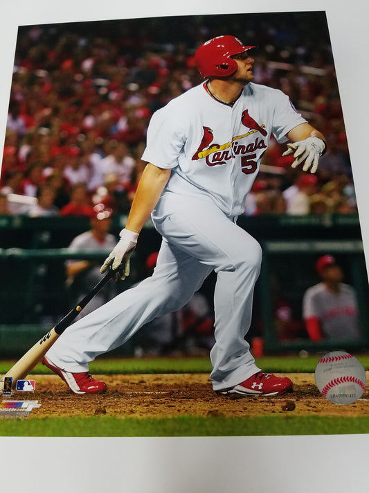 UNSIGNED Matt Adams 8x10