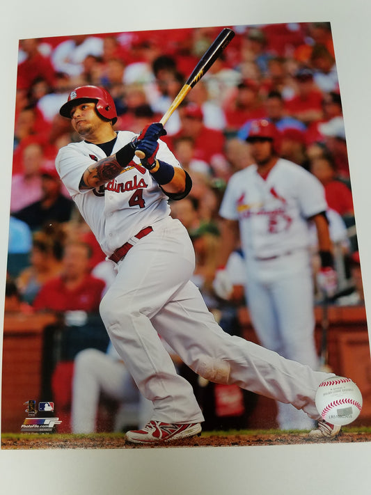 UNSIGNED Yadier Molina 8x10 Photo (batting)