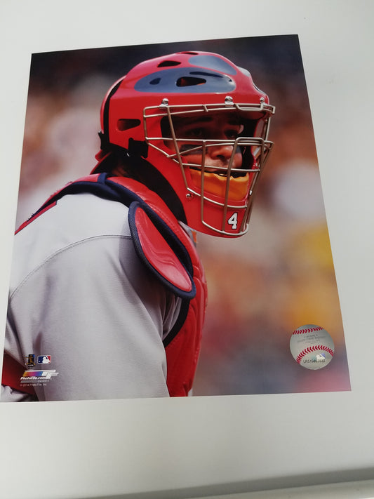 UNSIGNED Yadier Molina 8x10 Photo (catching)