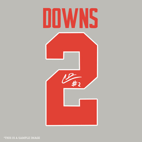 Caleb Downs Autographed Gray Ohio State Custom Jersey - (PRESALE)