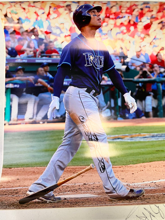 Carlos Pena Autographed Poster - Player's Closet Project